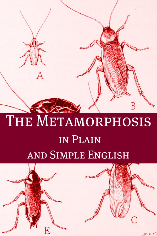 Metamorphosis In Plain and Simple English (Digital Download)