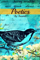 Poetics In Plain and Simple English (Digital Download)